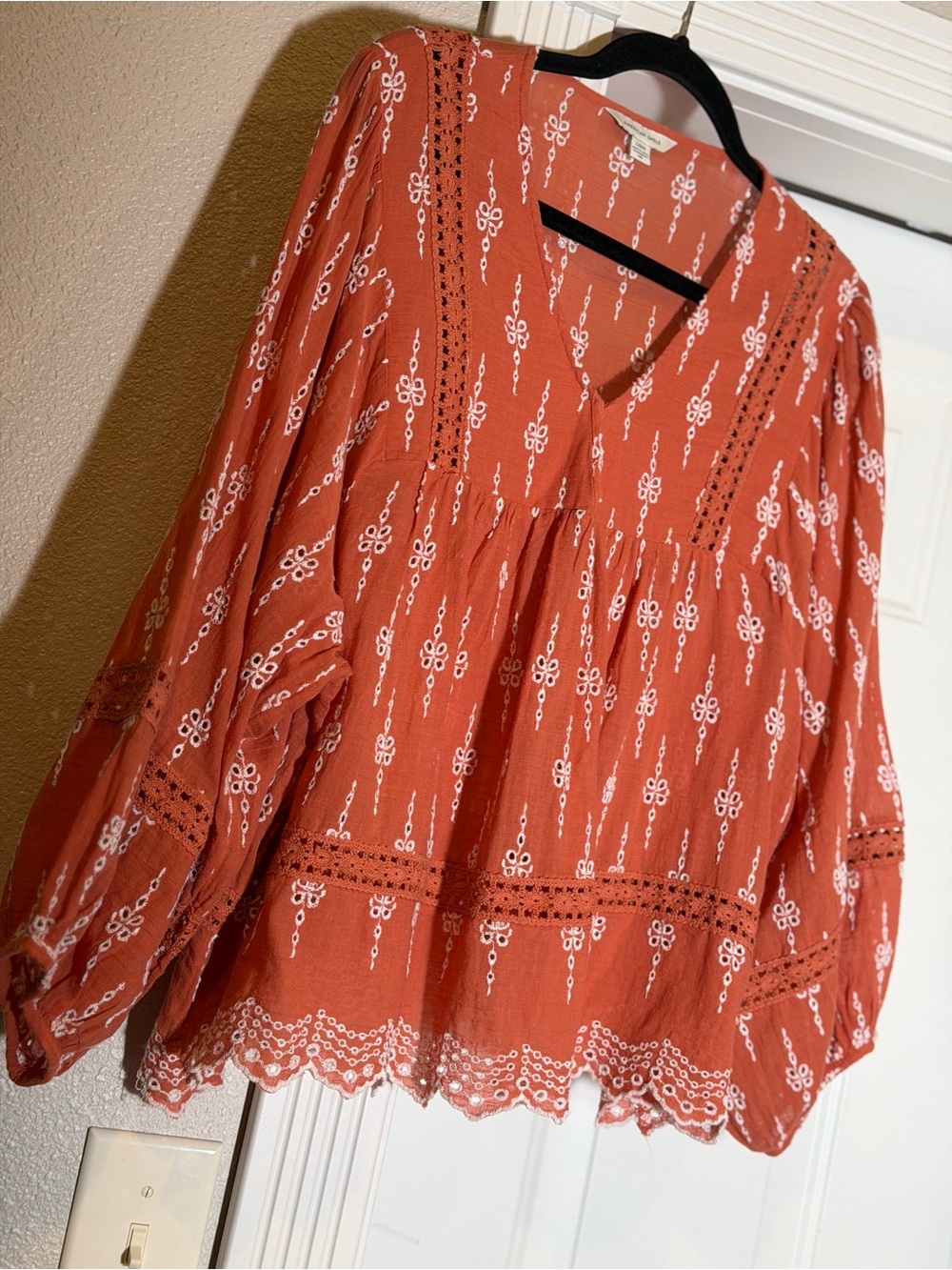 American Eagle~Boho~Terracotta~White Embroidered Eyelet~Lace~Tunic Top~Size LG/G - Picture 3 of 16